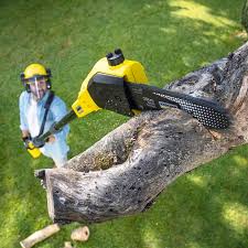 Best Storm Damage Tree Cleanup  in Unionville, MO