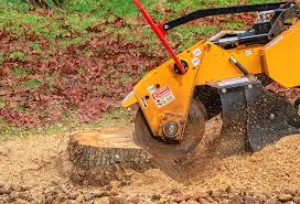 Soil Testing and Treatment in Unionville, MO